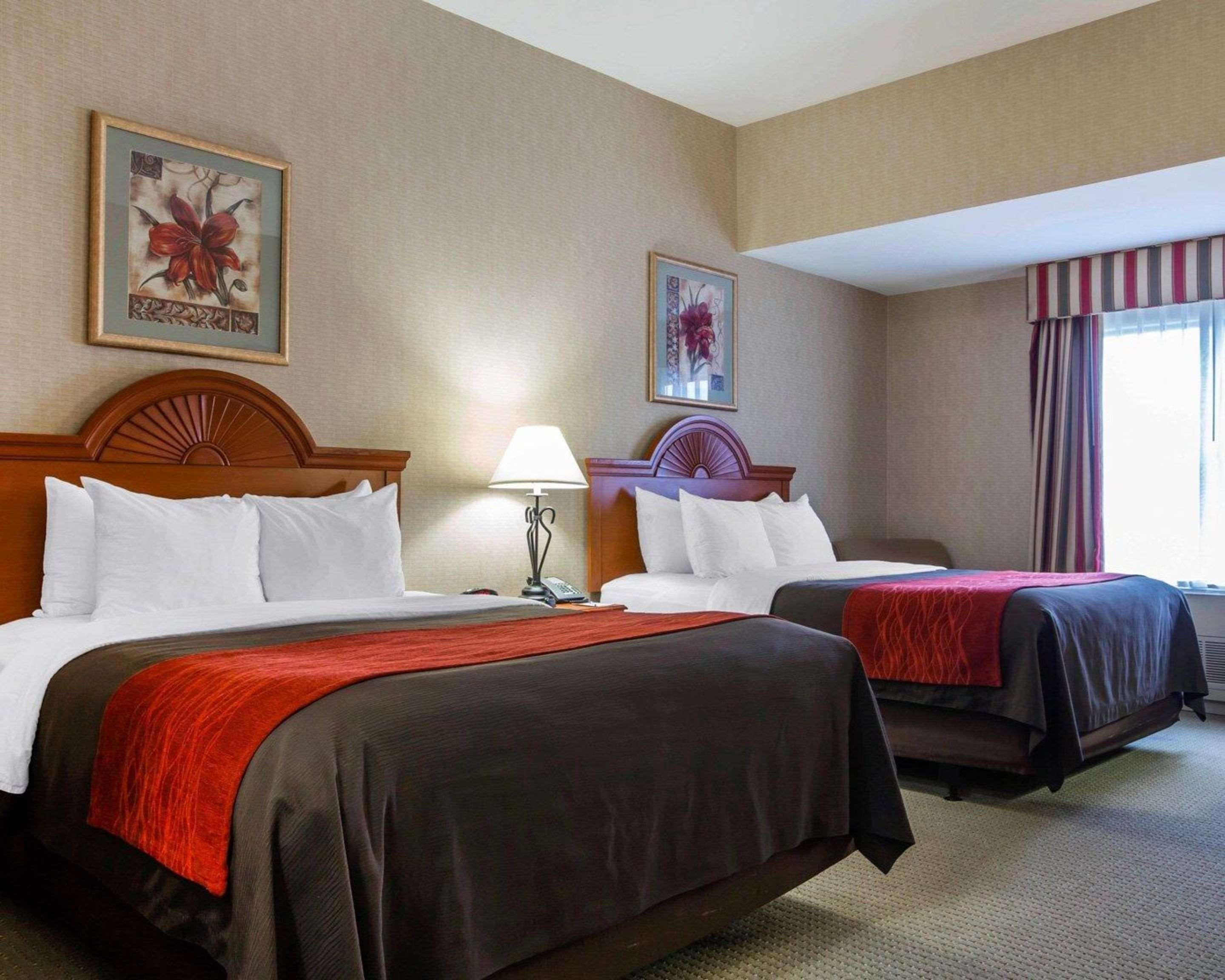 Comfort Inn & Suites Adj To Akwesasne Mohawk Casino Hogansburg Exteriér fotografie